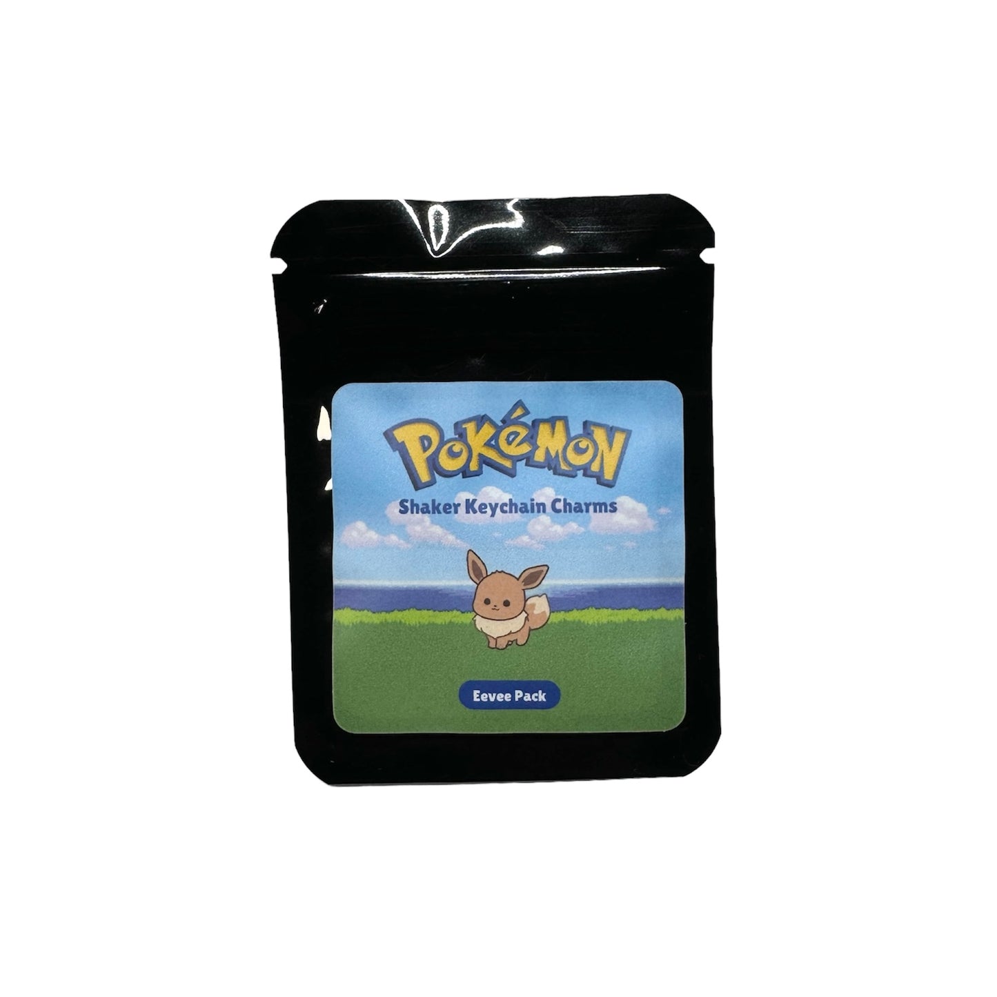 Shaker Keychain Charm Packs