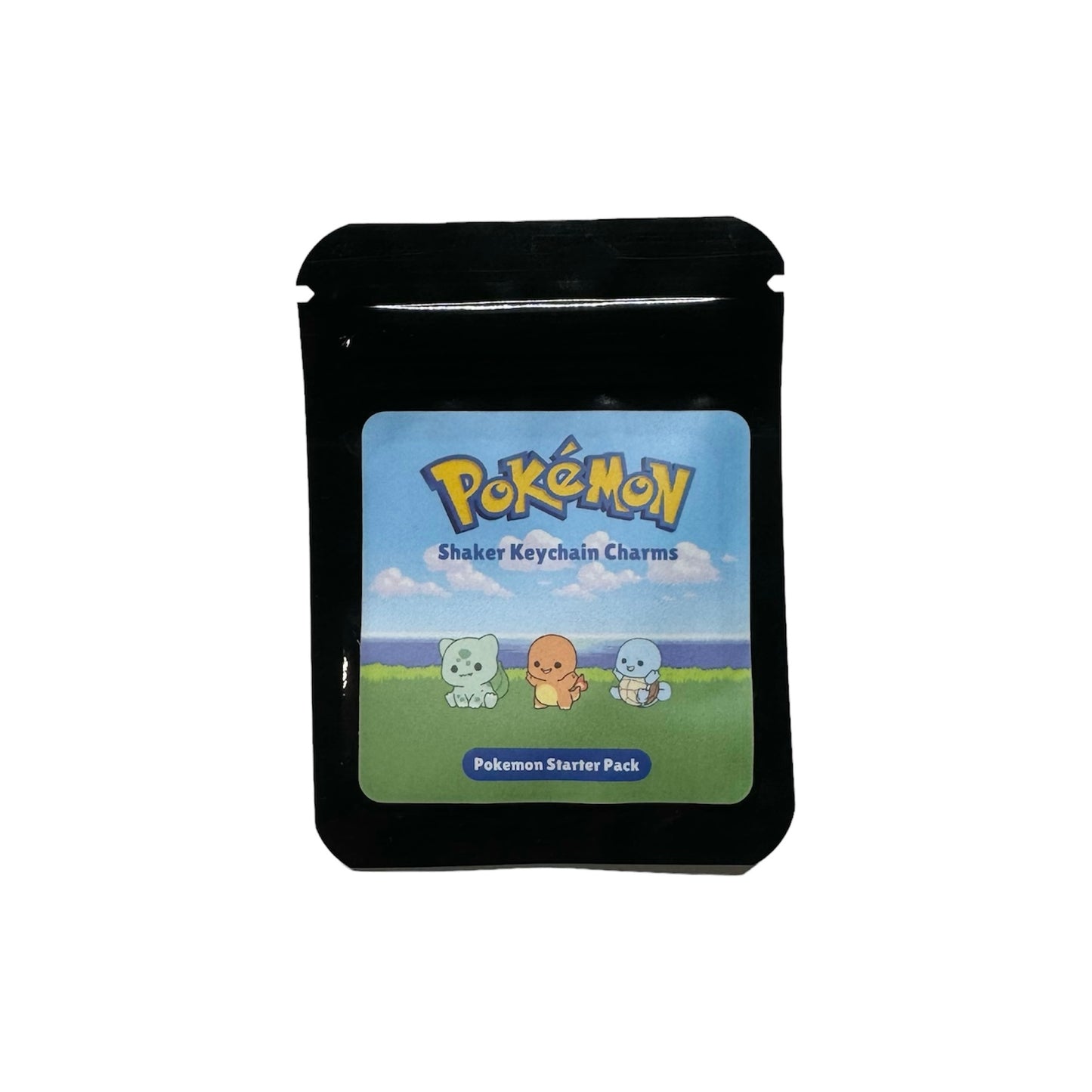 Shaker Keychain Charm Packs