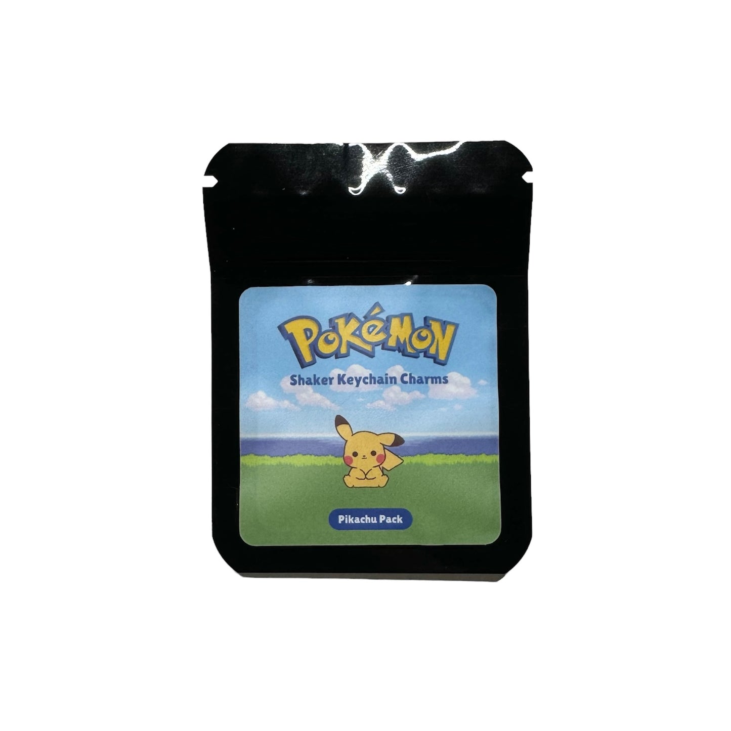 Shaker Keychain Charm Packs